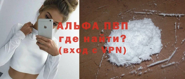 гидра Пестово