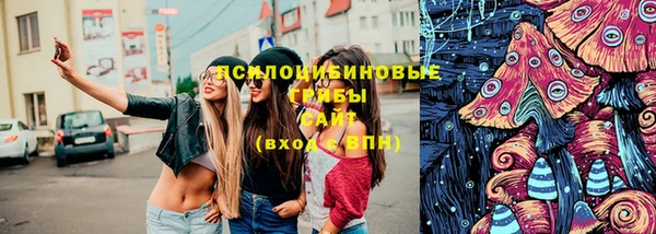 гидра Пестово