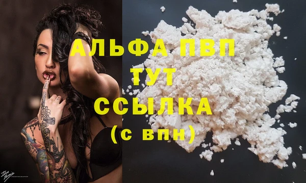 гидра Пестово