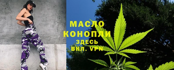 гидра Пестово