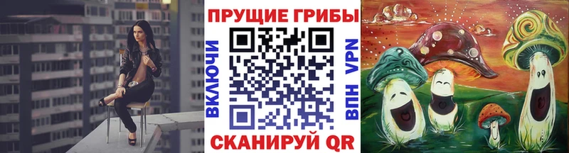 Галлюциногенные грибы прущие грибы  Купить  Карабаново 
